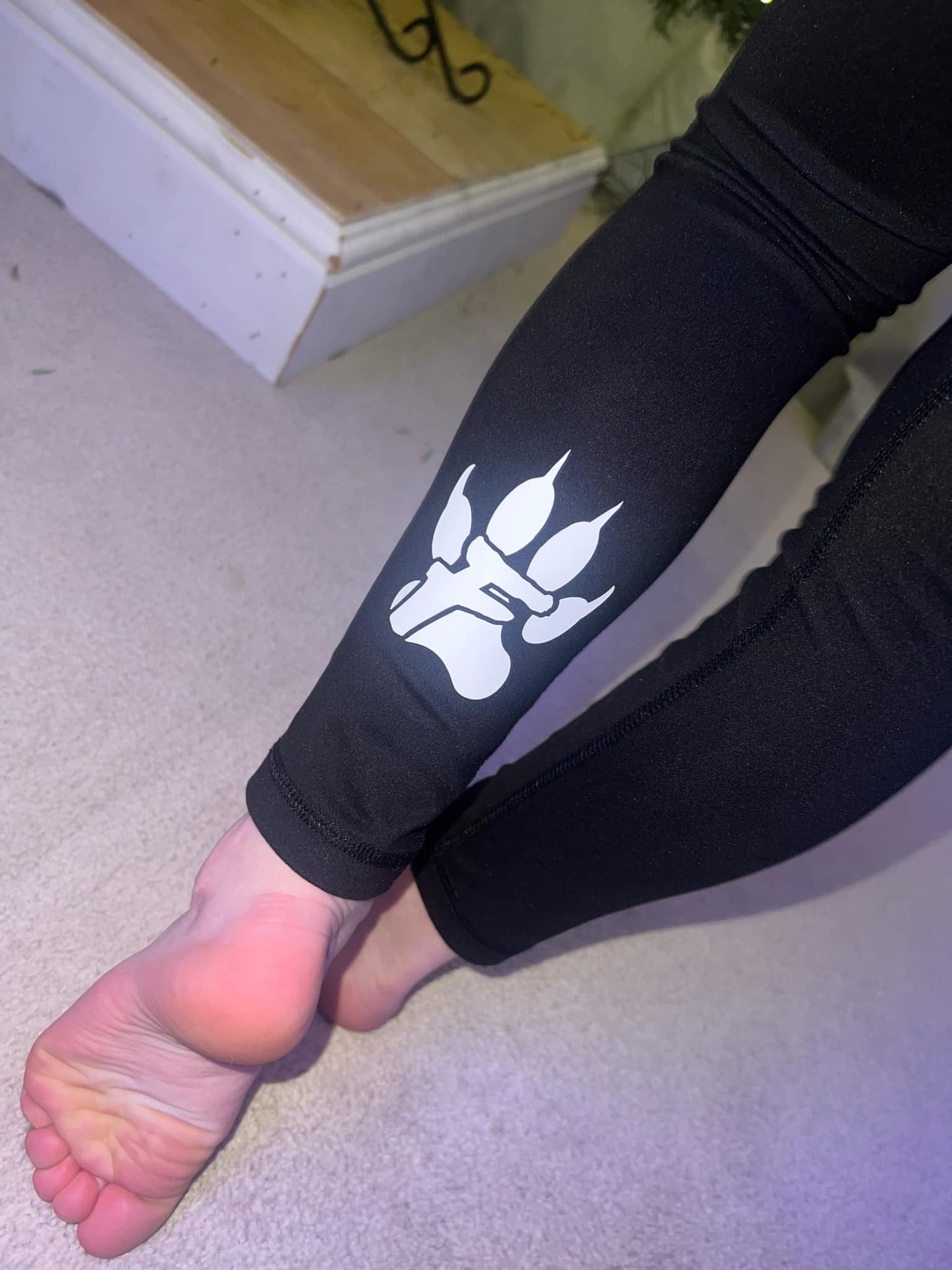 Fierce Sportsset